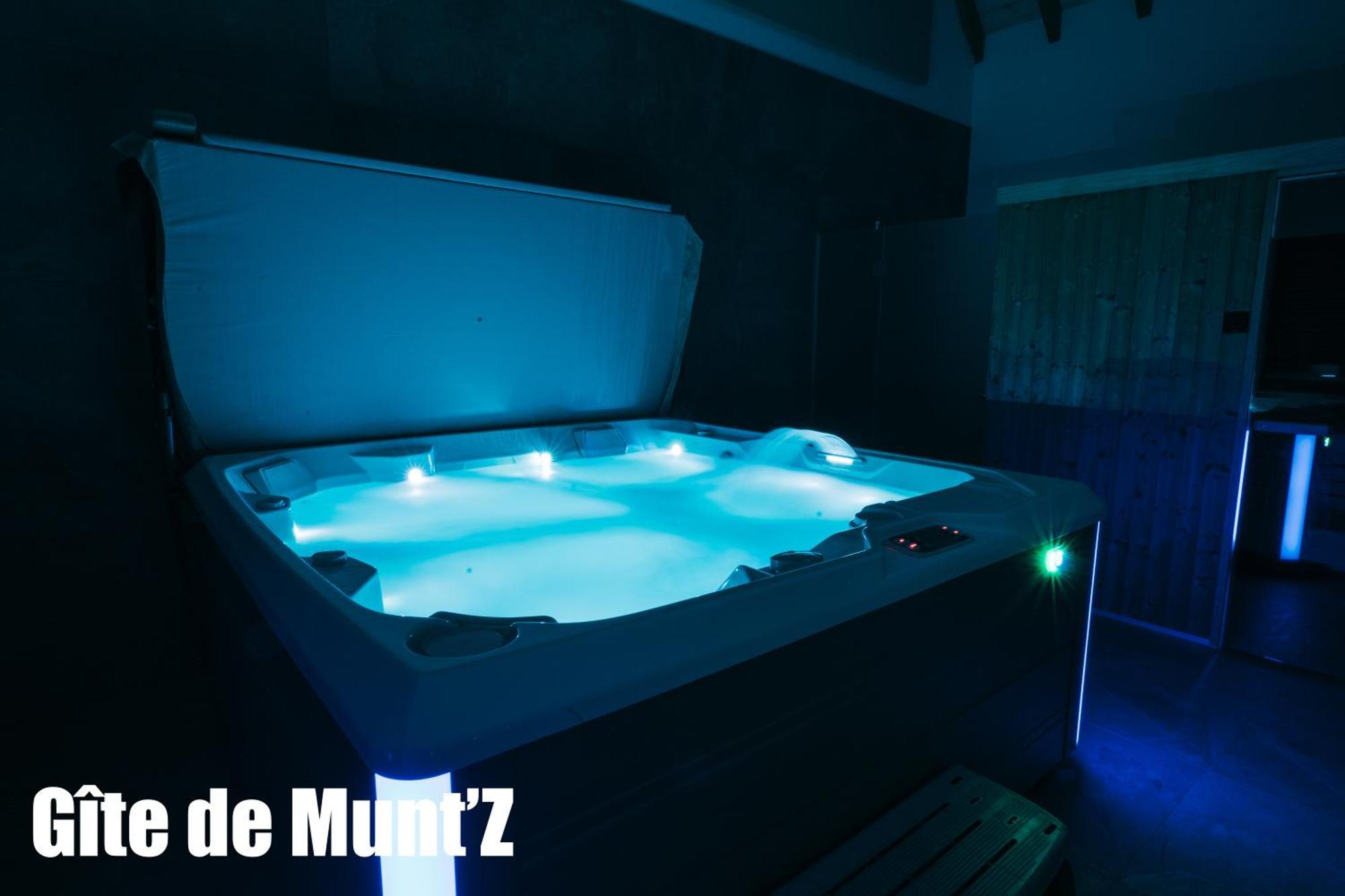 Gite De Munt'Z Spa, Sauna, Piscine, Proche De Colmar Muntzenheim Екстер'єр фото